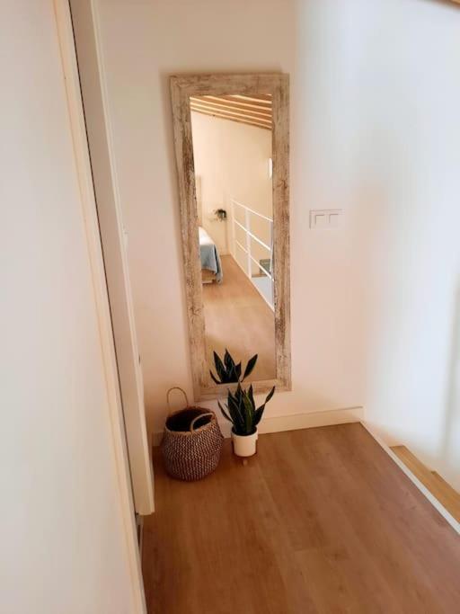 Loft Centrico Con Patio Bodega San Javier Apartment Jerez de la Frontera Exterior photo